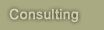 Consulting